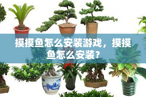 摸摸鱼怎么安装游戏，摸摸鱼怎么安装？