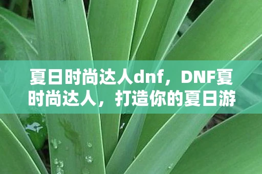 夏日时尚达人dnf，DNF夏时尚达人，打造你的夏日游戏风