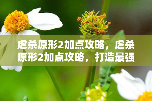 虐杀原形2加点攻略，虐杀原形2加点攻略，打造最强主角，征服虚拟世界