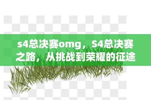 s4总决赛omg，S4总决赛之路，从挑战到荣耀的征途