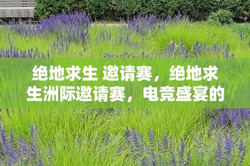 绝地求生 邀请赛，绝地求生洲际邀请赛，电竞盛宴的激情碰撞