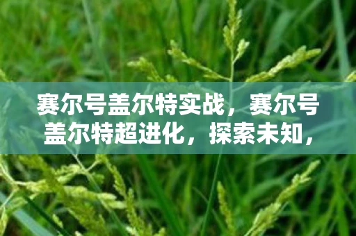 赛尔号盖尔特实战，赛尔号盖尔特超进化，探索未知，挑战极限