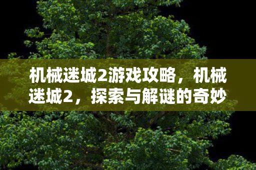机械迷城2游戏攻略，机械迷城2，探索与解谜的奇妙之旅