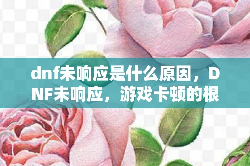 dnf未响应是什么原因，DNF未响应，游戏卡顿的根源与解决方案