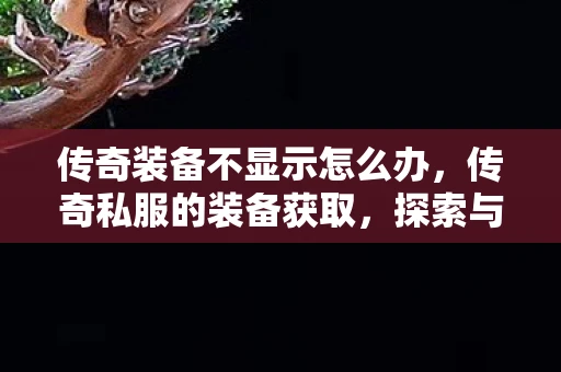 传奇装备不显示怎么办，传奇私服的装备获取，探索与策略
