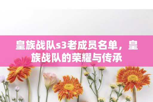 皇族战队s3老成员名单，皇族战队的荣耀与传承