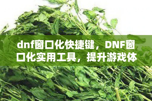 dnf窗口化快捷键，DNF窗口化实用工具，提升游戏体验的必备神器