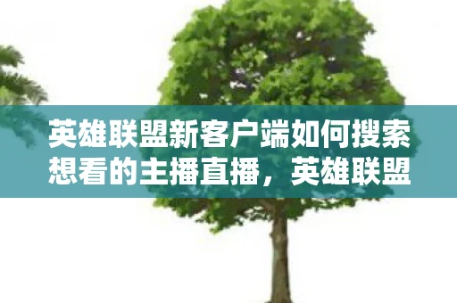英雄联盟新客户端如何搜索想看的主播直播，英雄联盟新客户端，重塑游戏体验，引领未来潮流