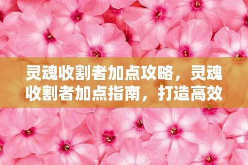 灵魂收割者加点攻略，灵魂收割者加点指南，打造高效战斗法师