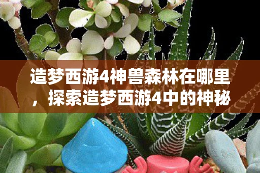 造梦西游4神兽森林在哪里，探索造梦西游4中的神秘神兽森林