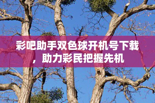 彩吧助手双色球开机号下载，助力彩民把握先机