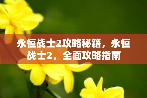 永恒战士2攻略秘籍，永恒战士2，全面攻略指南