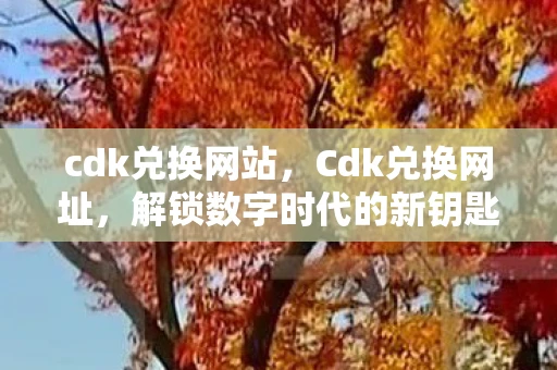 cdk兑换网站，Cdk兑换网址，解锁数字时代的新钥匙