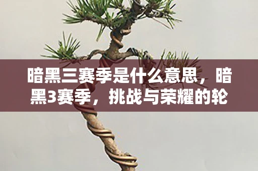 暗黑三赛季是什么意思，暗黑3赛季，挑战与荣耀的轮回