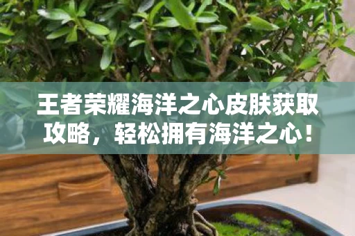 王者荣耀海洋之心皮肤获取攻略图片