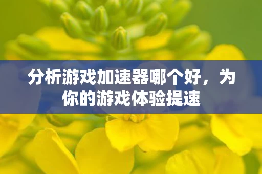 分析游戏加速器哪个好,为你的游戏体验提速 分析游戏加速器哪个好,为你的游戏体验提速