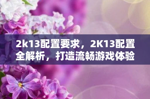 2k13配置要求，2K13配置全解析，打造流畅游戏体验