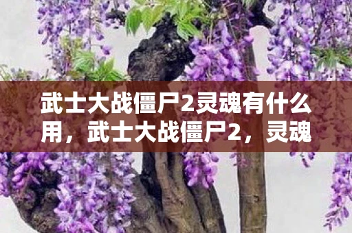 武士大战僵尸2灵魂有什么用，武士大战僵尸2，灵魂的觉醒