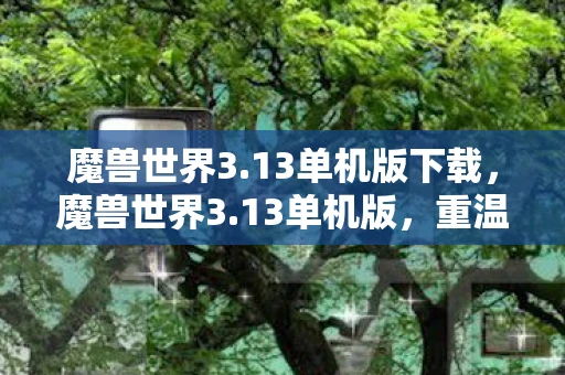 魔兽世界3.13单机版下载，魔兽世界3.13单机版，重温经典，探索无限可能