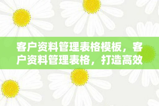 客户资料管理表格模板，客户资料管理表格，打造高效客户服务的基石