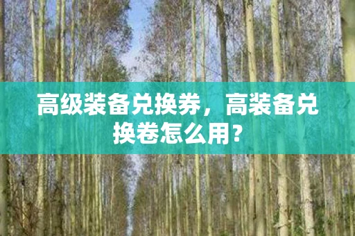 高级装备兑换券，高装备兑换卷怎么用？
