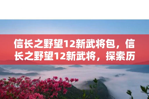 信长之野望12新武将包，信长之野望12新武将，探索历史与游戏的交汇点