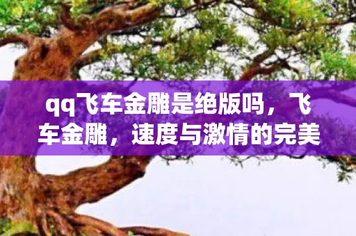 qq飞车金雕是绝版吗，飞车金雕，速度与激情的完美结合