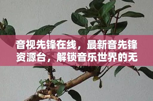 音视先锋在线，最新音先锋资源台，解锁音乐世界的无限可能