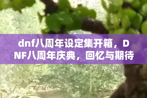 dnf八周年设定集开箱，DNF八周年庆典，回忆与期待交织的盛宴