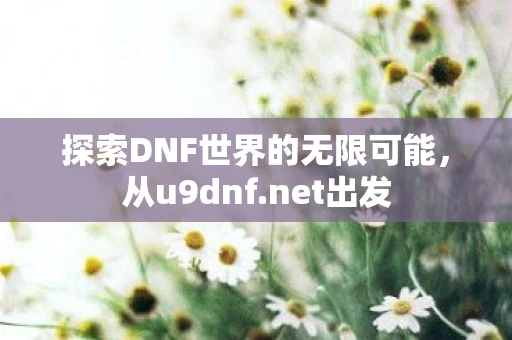 探索DNF世界的无限可能，从u9dnf.net出发