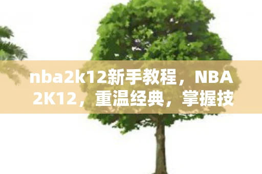 nba2k12新手教程，NBA 2K12，重温经典，掌握技巧，提升游戏体验