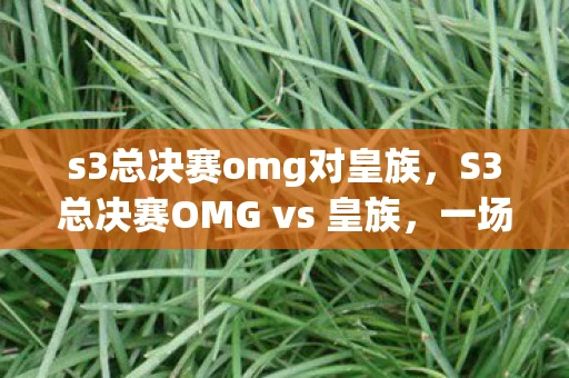 s3总决赛omg对皇族，S3总决赛OMG vs 皇族，一场电竞传奇的巅峰对决