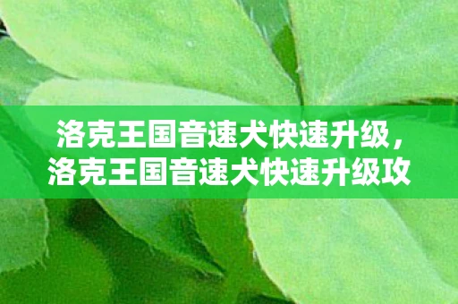 洛克王国音速犬快速升级，洛克王国音速犬快速升级攻略