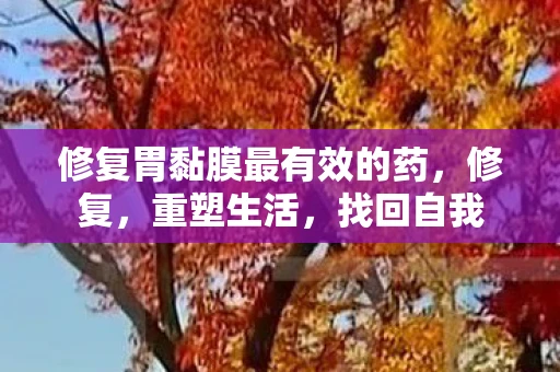 修复胃黏膜最有效的药，修复，重塑生活，找回自我