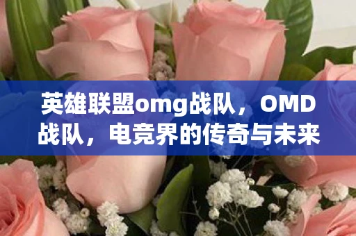 英雄联盟omg战队，OMD战队，电竞界的传奇与未来