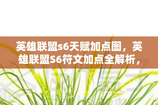 英雄联盟s6天赋加点图，英雄联盟S6符文加点全解析，打造你的专属英雄战斗力