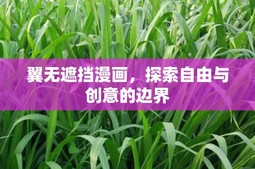 翼无遮挡漫画，探索自由与创意的边界