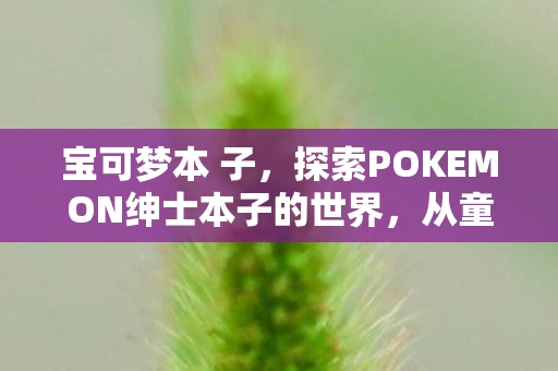 宝可梦本 子，探索POKEMON绅士本子的世界，从童年回忆到成人话题的跨界之旅