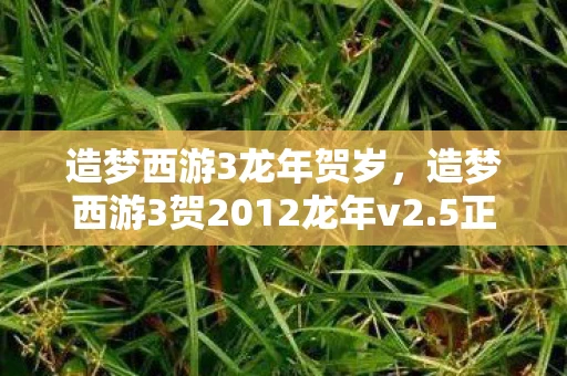 造梦西游3龙年贺岁，造梦西游3贺2012龙年v2.5正式版下载—重温经典，再续传奇