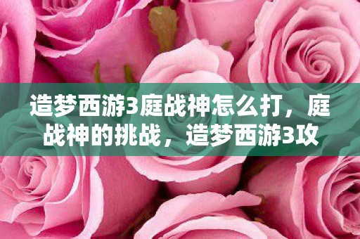 造梦西游3庭战神怎么打，庭战神的挑战，造梦西游3攻略