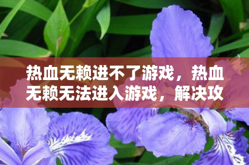 热血无赖进不了游戏，热血无赖无法进入游戏，解决攻略与常见问题排查