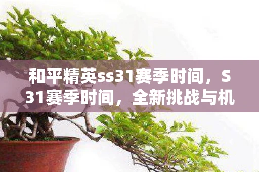 和平精英ss31赛季时间，S31赛季时间，全新挑战与机遇的来临