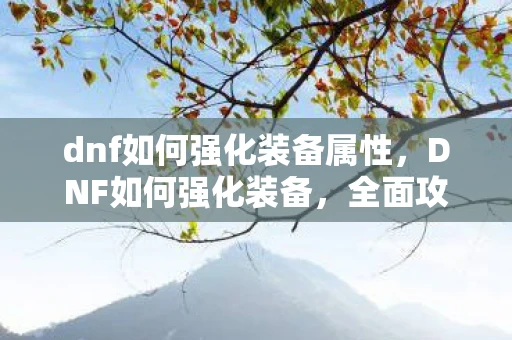 dnf如何强化装备属性，DNF如何强化装备，全面攻略