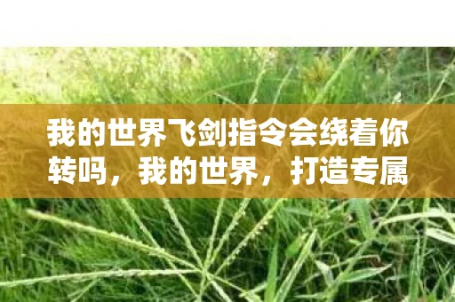 我的世界飞剑指令会绕着你转吗，我的世界，打造专属飞剑指令，畅游无限想象
