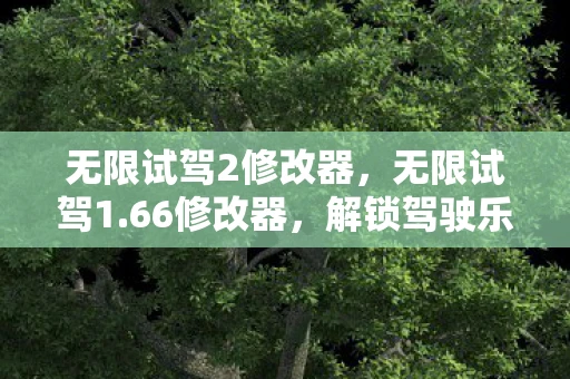 无限试驾2修改器，无限试驾1.66修改器，解锁驾驶乐趣的新境界