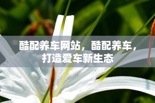 酷配养车网站，酷配养车，打造爱车新生态