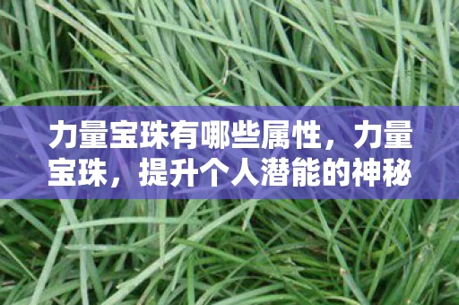 力量宝珠有哪些属性，力量宝珠，提升个人潜能的神秘宝物