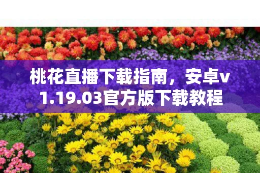 桃花直播下载指南，安卓v1.19.03官方版下载教程