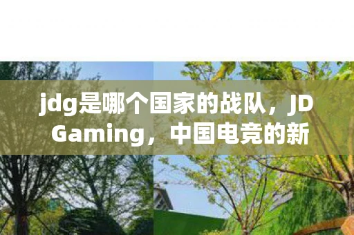 jdg是哪个国家的战队，JD Gaming，中国电竞的新生力量