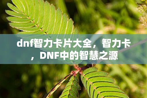 dnf智力卡片大全，智力卡，DNF中的智慧之源